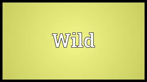 what does wild mean.